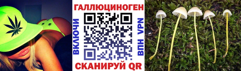 Псилоцибиновые грибы GOLDEN TEACHER Кудымкар