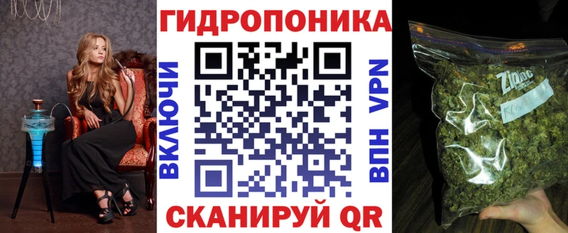 Конопля планчик  Кудымкар 